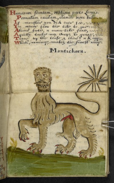 Tilføj MS 57312 f11 spilbog (blæk og farve på pergament) af English School