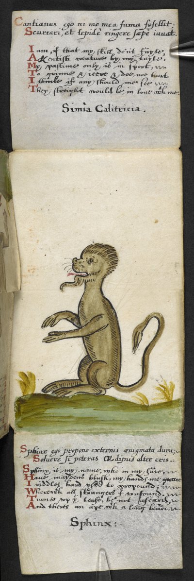 Tilføj MS 57312 f.14 spilbog (blæk og farve på pergament) af English School
