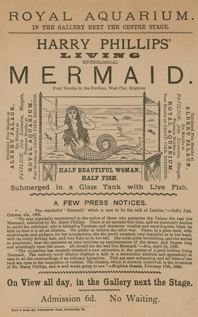 Annonce for Harry Phillips Living Mythological Mermaid af English School