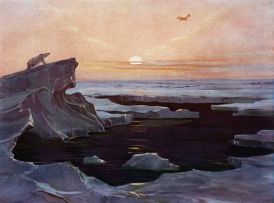 Fly, der flyver over Arktis (farve litho) af English School