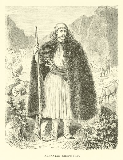 Albansk hyrde af English School