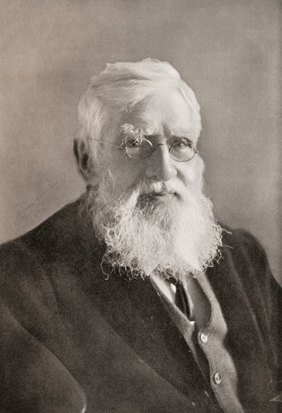 Alfred Russel Wallace, fra 