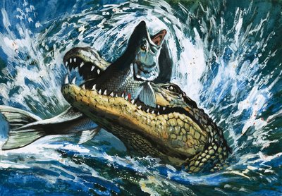 Alligator spiser fisk af English School