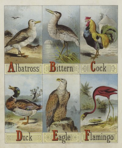 Fuglenes alfabet (litho-farve) af English School