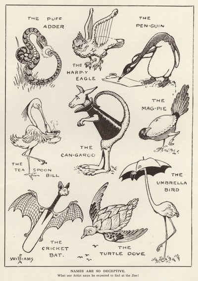 Amüsante Tiere von English School