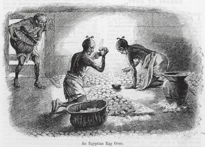 Ein ägyptischer Eierofen von English School