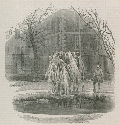 Et istræ i det midterste tempel af English School