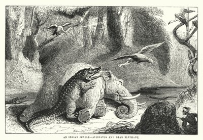 En indisk jungle, alligator og død elefant (kobberstik) af English School