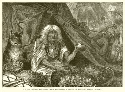 An Old Squaw Pounding Wild Cherries: En scene i Red River Country af English School