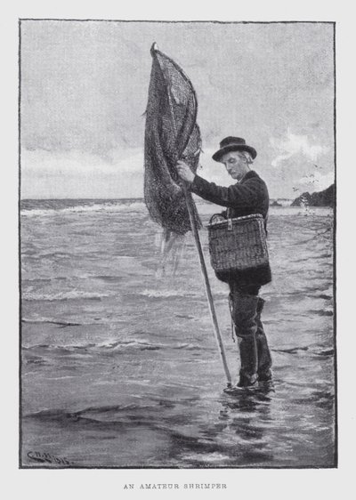 En amatør rejejagt (litho) af English School