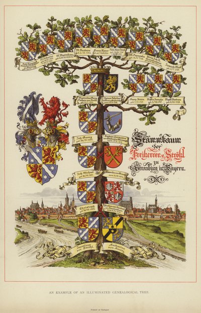 Et eksempel på et oplyst genealogisk træ (farve litho) af English School