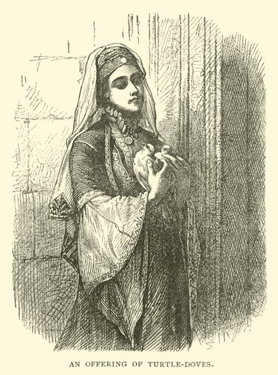 Et bud på turtelduer af English School