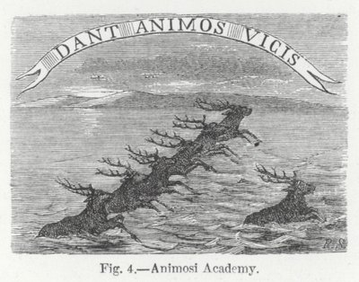 Animosi Academy (gravering) af English School