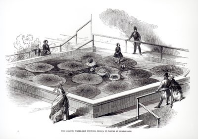 Annie Paxton på Victoria regia åkanden i Great Conservatory i Chatsworth, 1849 af English School