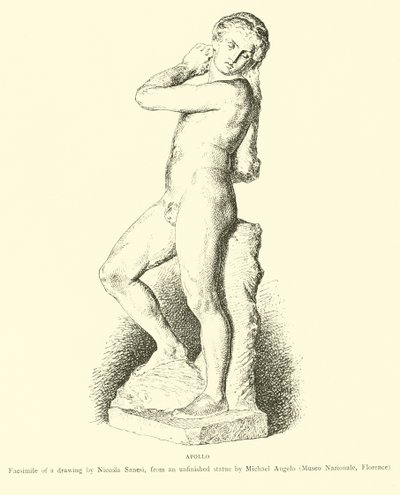 Apollo af English School