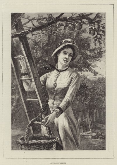 Æbleindsamling (gravering) af English School