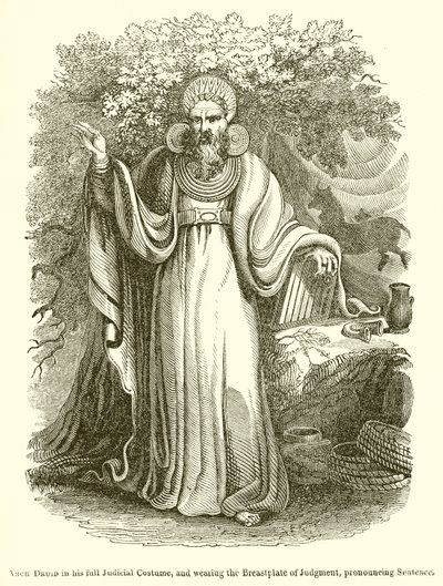 Arch Druid i sit fulde retsdragt og iført dommens brystskjold, udtaler sætning af English School