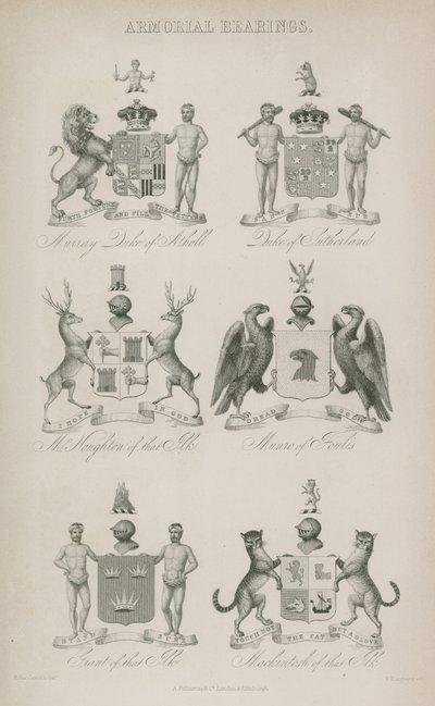 Armorial lejer af English School