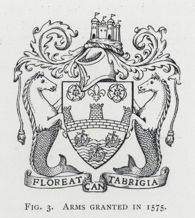Våben udstedt i 1575 (gravering) af English School