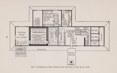 Arrangement af baconfabrik til at håndtere tredive til halvtreds grise om ugen (litho) af English School