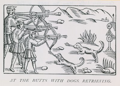 Beim Schießen mit Hunden, die apportieren von English School