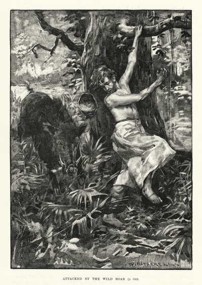 Angrebet af vildsvinet (gravering) af English School