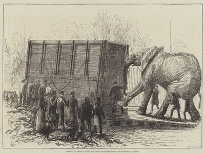 Forsøg på at fjerne Jumbo, den store elefant, fra de zoologiske haver (litho) af English School