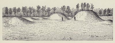 Avondale Mounds, Washington County, Mississippi (Litho) von English School