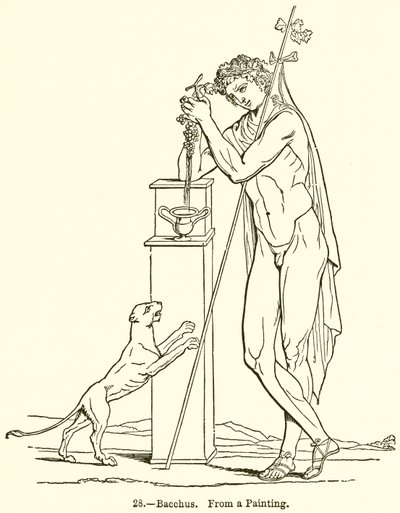 Bacchus af English School