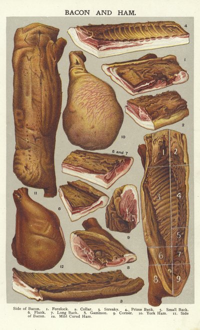 Bacon og skinke af English School