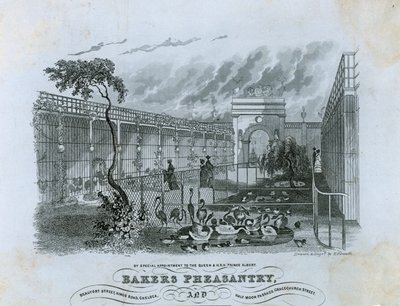 Bakers Pheasantry, Chelsea af English School