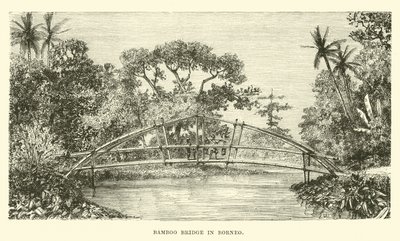 Bambusbro i Borneo af English School