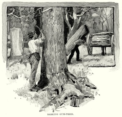Barking Gum-Trees (gravering) af English School