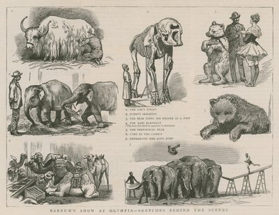 Barnums show på Olympia - skitser bag kulisserne af English School
