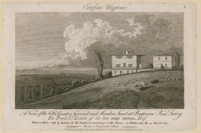 Battersea Rise, Surrey von English School