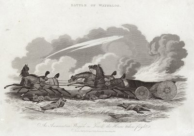 Slaget ved Waterloo af English School