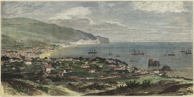 Bugten og byen Funchal af English School