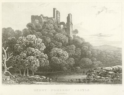 Berry Pomeroy Castle, Devonshire (gravering) af English School