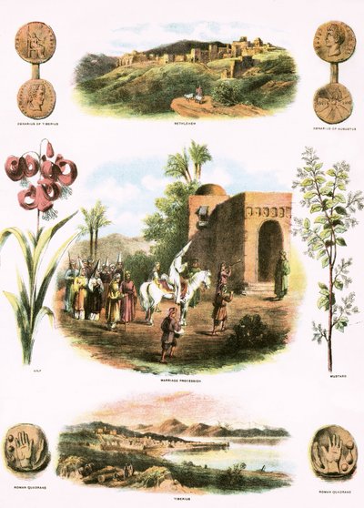 Bibelske Illustrationer af English School