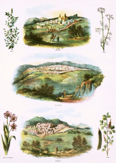 Bibelske Illustrationer af English School