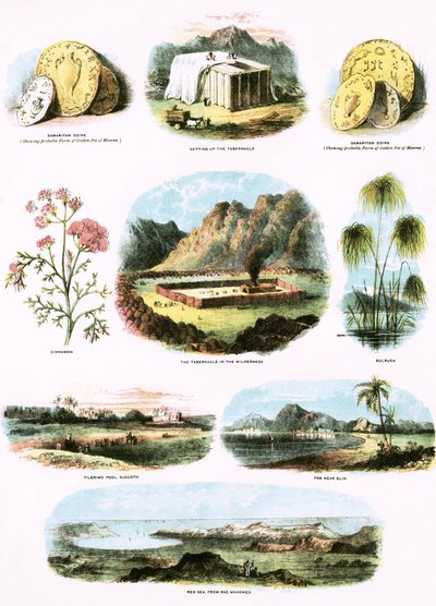 Bibelske Illustrationer af English School