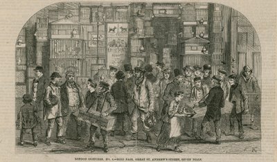 Fuglemesse, Great St Andrews Street, Seven Dials, London af English School