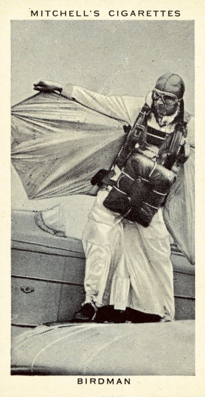 Birdman (litho) af English School