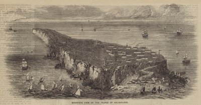 Fugleperspektiv af øen Helgoland (gravering) af English School