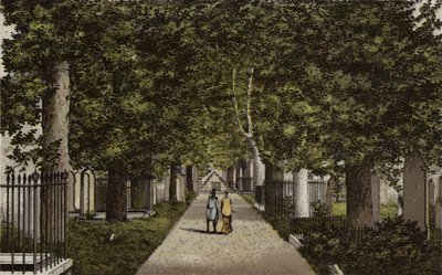 Birmingham: Harborne Avenue (farve litho) af English School