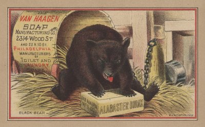 Sort bjørn (farve litho) af English School