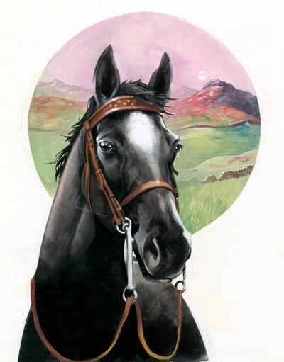 Black Beauty von English School