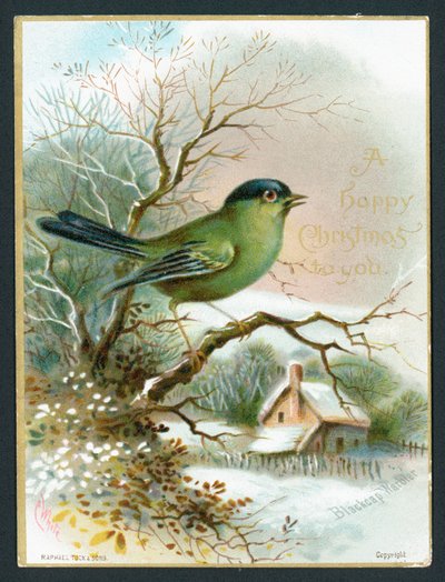 Blackcap Warbler, julekort af English School