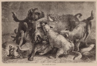 Vildsvinejagt, angrebet (kobberstik) af English School