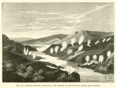 Boiling springs, fumaroles, and geysers on the Waikato River, New Zealand  af English School